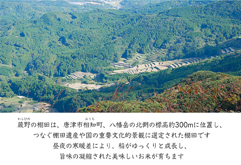 特別栽培棚田米「蕨野」5kg×3袋(合計15kg) 家庭排水が一切入らない自然水で作られたお米 10日に1回精米で新米のような味わい