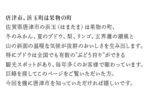 『先行予約』【令和8年7月下旬発送】唐津市産種あり大粒「巨峰」約3kg(5～8房) ぶどう ブドウ 果物 フルーツ ギフト