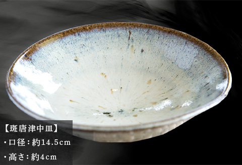 唐津焼 斑唐津中皿 中野政之作