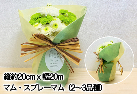 贈り物に そのまま飾れるスタンドマムブーケ cool green(グリーン系) 水替え不要 生花 お花 お祝 記念日 プレゼント