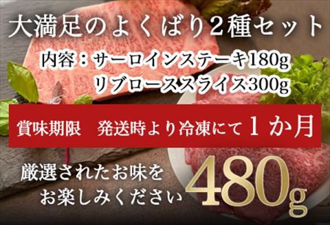 厳選佐賀牛 サーロインステーキ180g リブローススライス300g 2種(合計480g)セット「2024年 令和6年」