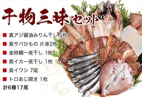 グルメ大賞受賞 唐津産 旬のひもの三昧セット 唐津産 旬サバ 旬アジみりん 金時鯛一夜干し(旬の白身魚干物)呼子 イカ一夜干し 大分産真イワシ丸干し トロあじ開き 6種17尾 干物