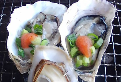 『先行予約』【令和8年6月から発送】唐津市唐房産 からふさカキ『岩牡蠣』3kg(カキナイフ付き) 貝 BBQ ギフト アウトドア