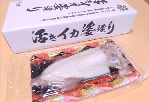 活イカ姿造り小サイズ１杯(140g前後)！鮮度抜群 捌きたて瞬間冷凍 いか活造り 刺身 簡単 呼子 ギフト