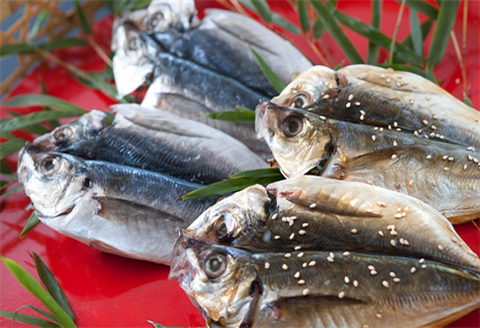 いろは島料理長厳選 アジの干物 40枚セット 唐津産 おかず おつまみ ギフト 「2024年 令和6年」