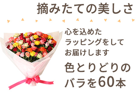 バラの花束 ミックス 60本 長さ40cm前後を厳選 産地直送 摘み立て プレゼント用 最高品質 栄養剤付