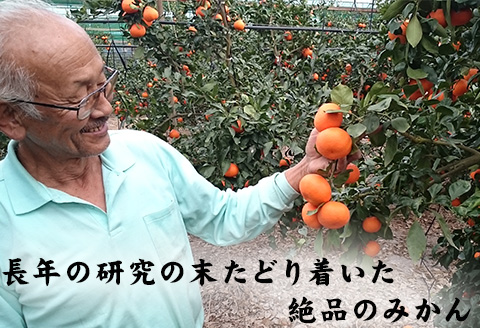 『先行予約』【令和8年1月から発送】吉田みかん園の樹上完熟みかん 10kg 柑橘 ミカン 蜜柑 フルーツ 果物