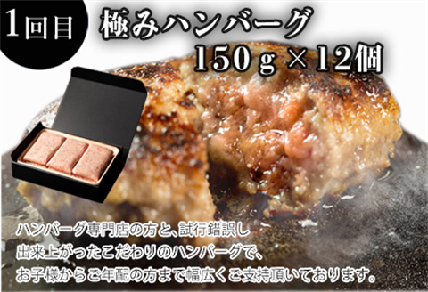 「全3回定期便」極みハンバーグ・佐賀牛サイコロステーキ・佐賀牛焼肉用をご寄付の翌月から3回お届け！