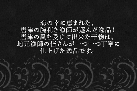 (唐津産) イカの一夜干しも付いた干物6種 やりいか一夜干し アジ開き いわしみりん アジミリン さばみりん干し 塩サバ (合計12枚) おかず おつまみ ギフト