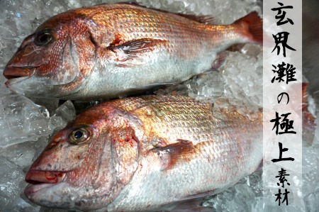 玄界灘の鯛(たい)・鰆(さわら)・鯖(さば)そぼろ3点セット 九州唐津の日本料理店 花菱からお届け ギフト