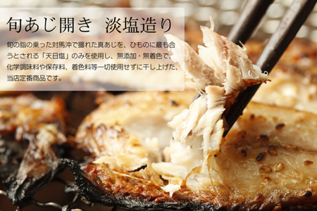 唐津産干物セット 宝船セット 旬サバ淡塩造り 旬アジ開き 旬アジみりん 金時鯛一夜干し(旬の白身魚干物) 佐賀 呼子イカ イカ一夜干し 唐津産ちりめん 唐津加工無着色明太子 イカしゅうまい 産地直送