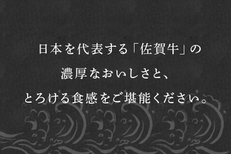 佐賀牛しゃぶしゃぶ・すき焼き用 380g 和牛 肉 ギフト 贈り物