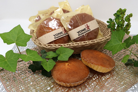 マドレーヌ 10個入り バター・アーモンドの香り漂う焼き菓子 焼き菓子