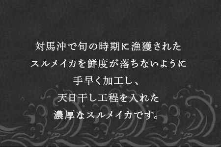 いか一夜干し 5枚セット(合計約600g) おさかな村 つまみ おかず