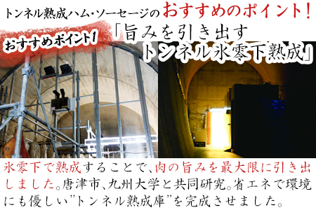 トンネル氷零下熟成ハム・ソーセージセット TPC-2  詰合せ おかず おつまみ サラミ 生ハム ベーコン セット ギフト
