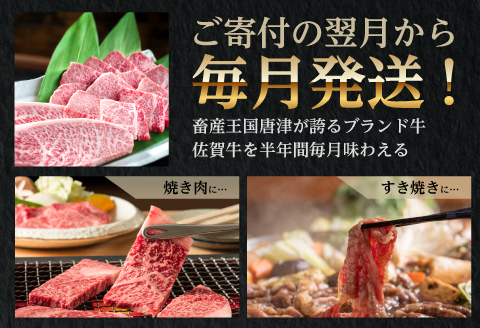 「定期便全6回」 佐賀牛づくし 寄附翌月から発送 (合計2.7kg) A5～A4等級 ギフト 贈り物