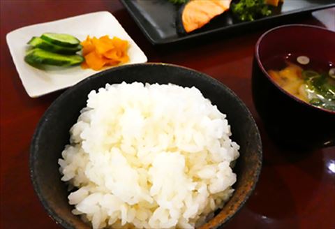 【令和6年産】唐津玄海産特別栽培米つや姫 白米4.5kg 粘りと柔らかさのバランスが良いお米 ギフト ごはん