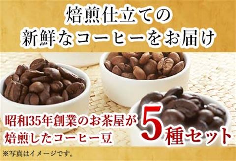 自家焙煎コ－ヒ－豆 5種類のコーヒ－セット(豆) 清香園茶舗 モカマタリ・キリマンジャロ・コロンビア・グアテマラ・ホンジュラス 珈琲 飲料