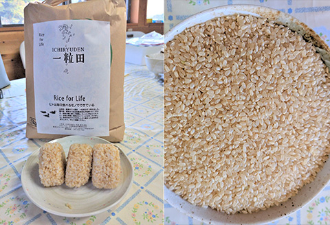 唐津産 あいがも米 5kg (玄米) 一粒田 合鴨農法 無農薬 無化学肥料 コメ お米 ごはん