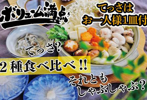 唐津産 とらふぐてっさと切り身の贅沢食べ比べ！6人前