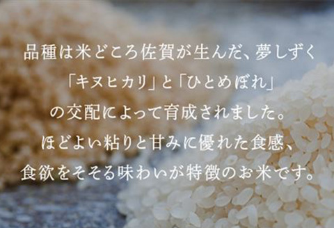 米の食味ランキング3年連続「特A」評価！ 唐津産特別栽培 夢しずく 15kg コメ 精米 お米 ごはん 白米 おにぎり