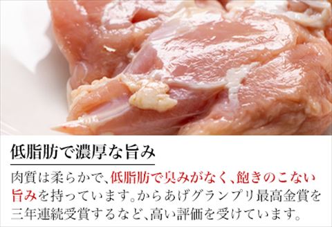 ありたどり正肉セット ありたどりモモ肉 2kg ありたどり熟成ムネ肉 2kg(合計4kg) 唐揚げ 親子丼 ギフト