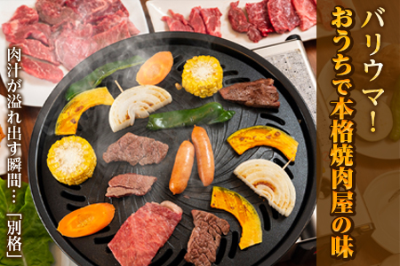 佐賀牛 希少部位イチボ250gとトモサンカク250gの焼肉セット(合計500g) 和牛 牛肉 ご褒美に ギフト用 家族 焼肉 セット