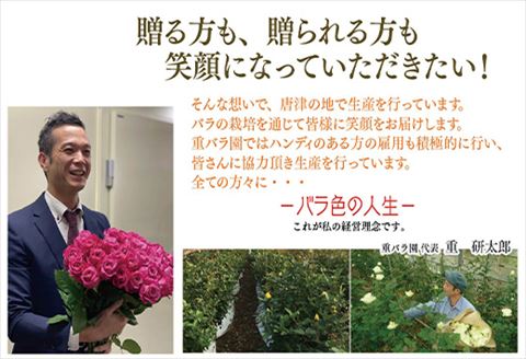 バラ(薔薇)の花束 赤・ピンク系15本入り 贈答 プレゼント 贈り物へ