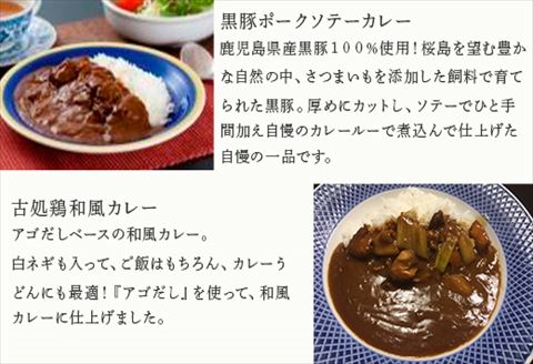九州ご当地カレー5種セット 佐賀牛ひき肉カレー180g×4、博多和牛カレー、長崎本鮪カレー、黒豚ポークソテーカレー、古処鶏和風カレー各180g×2(合計2.16kg)