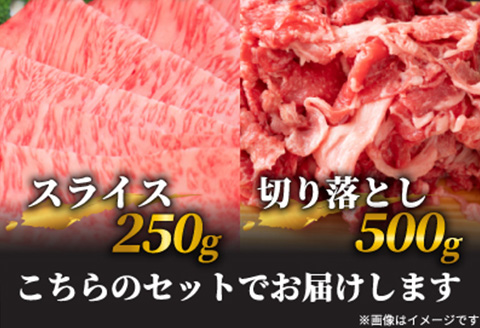 訳アリ！艶さし！佐賀牛しゃぶしゃぶすき焼き750gセット 牛肉 スライス 切り落とし