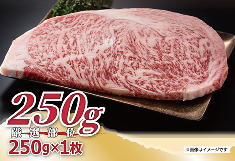 艶さし！佐賀牛サーロインステーキ 250g×1枚 肉 牛肉 ステーキ 焼肉 BBQ バーベキュー ギフト アウトドア