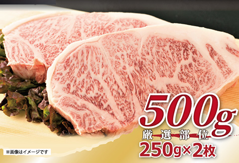 艶さし！佐賀牛サーロインステーキ 250g×2枚(合計500g) 肉 牛肉 ステーキ 焼肉 BBQ バーベキュー ギフト アウトドア