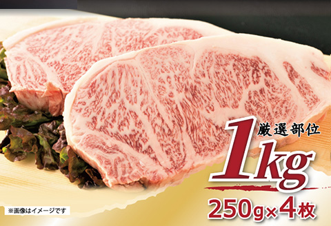 艶さし！佐賀牛サーロインステーキ 250g×4枚(合計1kg) 肉 牛肉 ステーキ 焼肉 BBQ バーベキュー ギフト アウトドア