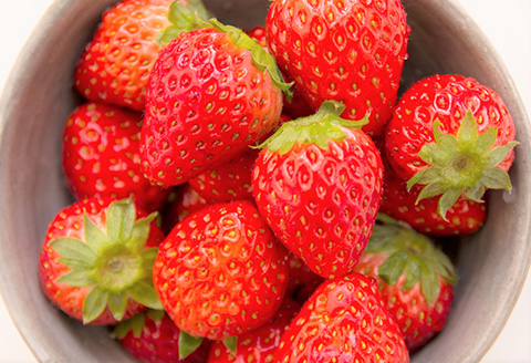 『先行予約』【1月中旬より順次発送】佐賀県唐津市「いちごさん」化粧箱 470g いちご 苺 イチゴ 化粧箱 ギフト