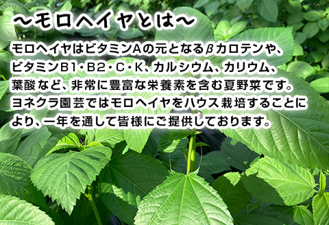 『先行予約』【12月上旬より順次発送】冬穫れハウスモロヘイヤ 100g×10袋 ネバネバ 高栄養価（βカロテン/各種ビタミン/カルシウム/カリウム/葉酸など) 定番おひたし 和洋中の各種スープ 色んなお料理のソースにも 野菜 ねばねば