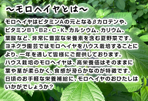 『先行予約』【12月上旬より順次発送】冬穫れハウスモロヘイヤ(100g×5袋)とアイスプラント(70g×5P)セット 3箱 ネバネバ 高栄養価 プチプチ新体験 定番おひたし 和洋中の各種スープ お肉・お魚のメイン料理の付け合わせ