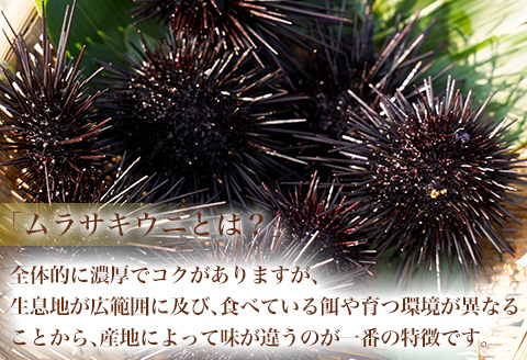 塩うに(ムラサキウニ)70g×2本 ミョウバン不使用 雲丹 海鮮 海産物 瓶詰め おつまみ おかず 酒の肴 ご飯のお供