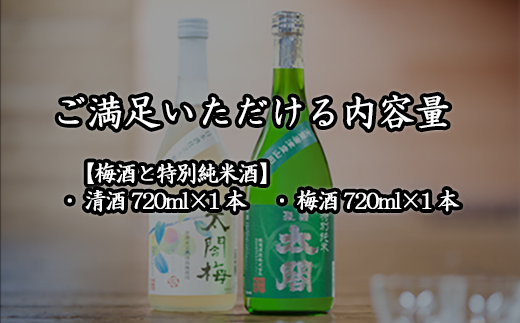 老舗蔵元飲み比べ 口当たり柔らかな梅酒と特別純米酒・SPARKLINGにごり生酒とおとなのあまざけ 女性に大人気のセット コラボ