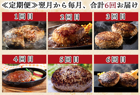 「全6回定期便」唐津大人気ハンバーグ定期便 黒毛和牛 手ごね 佐賀牛 食べ比べ