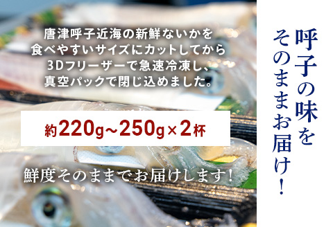 唐津呼子産いか活造り 2杯(約220g～250g×2) 急速冷凍 新鮮そのまま食卓へ！イカ 刺身 簡単 ギフト