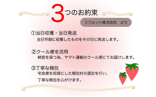 『先行予約』【令和8年2月より順次発送】濃厚苺 さちのか 250g×4パック(合計1kg) 濃厚いちご 苺 イチゴ 果物 フルーツ ビタミン