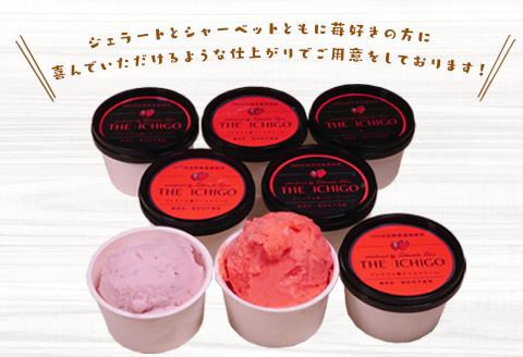 『先行予約』【令和8年5月より順次発送】苺好きが夢中！プレミアム苺アイスクリーム＆シャーベット 各4個(合計8個入）スイーツ カップ デザート 氷菓子 苺 イチゴ