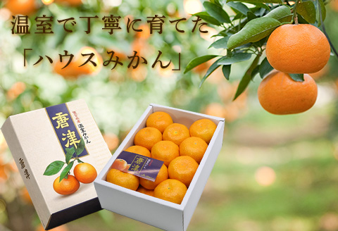 『先行予約』【令和8年7月上旬より順次発送】【全国出荷量1位】佐賀県ハウスみかん 1.8kg 高級甘熟みかん 果物フルーツ 柑橘