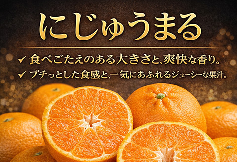 『先行予約』【令和8年3月上旬より順次発送】◎にじゅうまる◎ 5kg 佐賀県産【高級柑橘みかん】果物フルーツ 柑橘