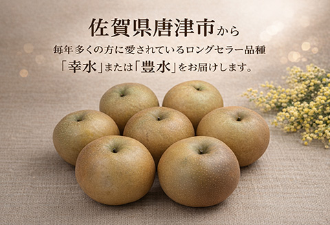 『先行予約』【令和8年7月上旬より順次発送】唐津産 梨 5kg【旬の味覚】果物 フルーツ 幸水 豊水