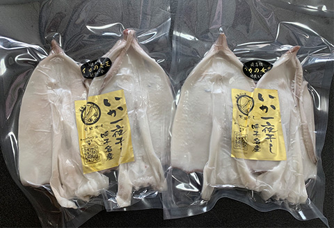 海から直送！剣先イカ一夜干し1袋2枚入り(200ｇ)×2袋 いか おつまみ 干物 酒の肴