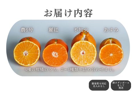 『先行予約』【令和8年1月中旬発送】唐津産ハウス育ち柑橘セット 2.5kg 手提げ箱 (麗紅・あすみ・不知火・農6号の中から2〜4種) 品種おまかせ 〜海と空と、みかん〜 ミカン フルーツ 柑橘 ギフト