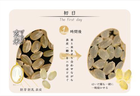 令和7年産 (熟成米) 賀県唐津産 特別栽培米 夢しずく 5kg×2(合計10kg）ご飯 ごはん 白米 お米 コメ