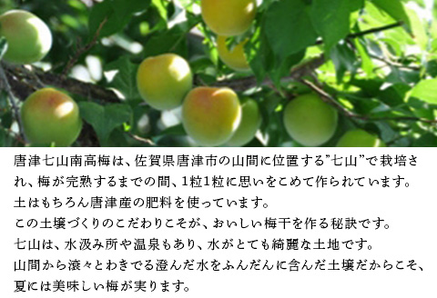 唐津市七山南高梅 田舎梅 (500g×1) 梅干し うめぼし うめ しそ ご飯のお供 ＃irodoriからつ四季の返礼品