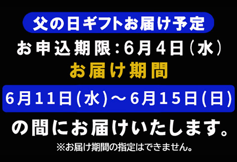 「父の日」唐津バーグ8個とガーリックソースのギフトセット  総菜 肉 ハンバーグ 贈答用
